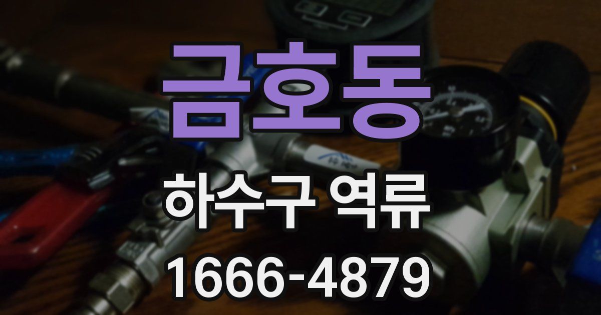 금호동 하수구 역류