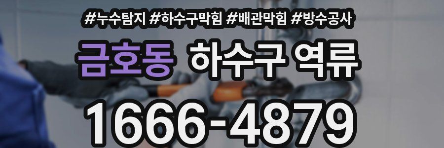 금호동 하수구 역류