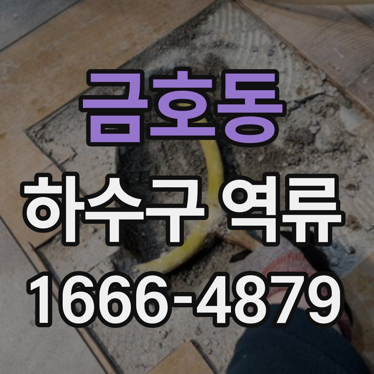 금호동 하수구 역류