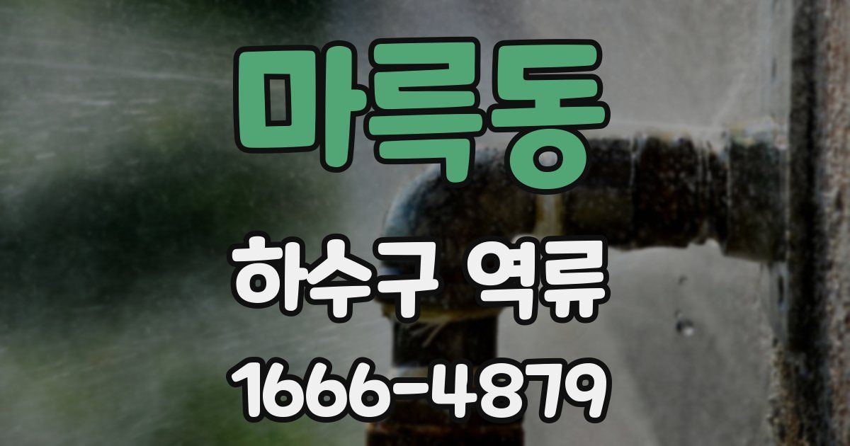 마륵동 하수구 역류