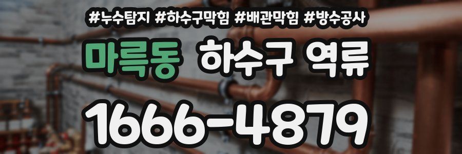 마륵동 하수구 역류