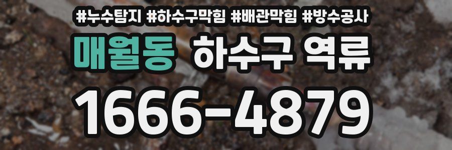 매월동 하수구 역류
