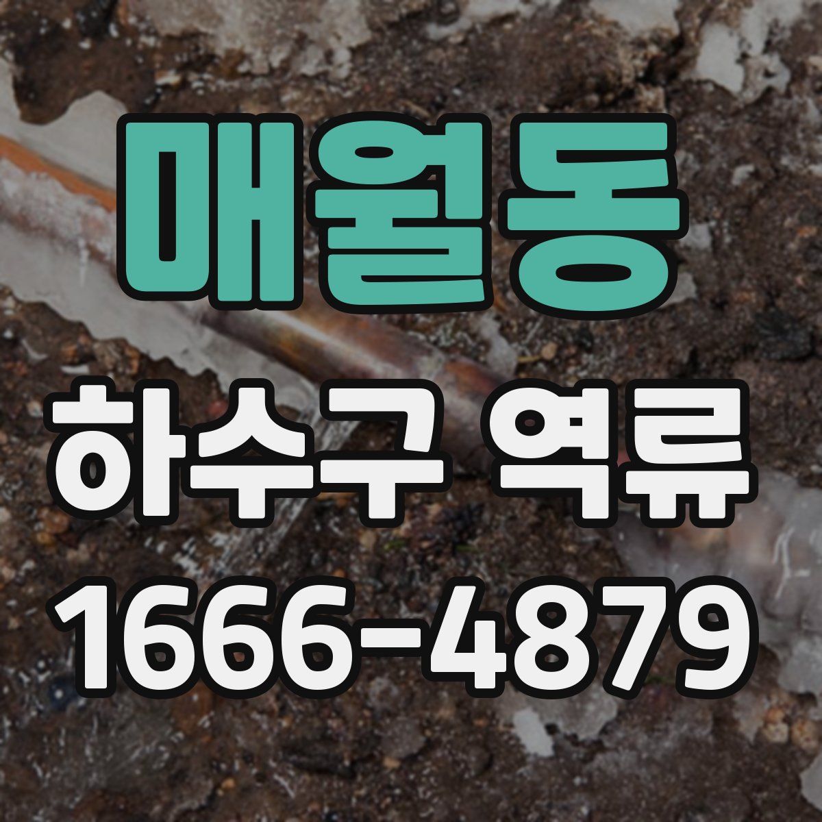 매월동 하수구 역류