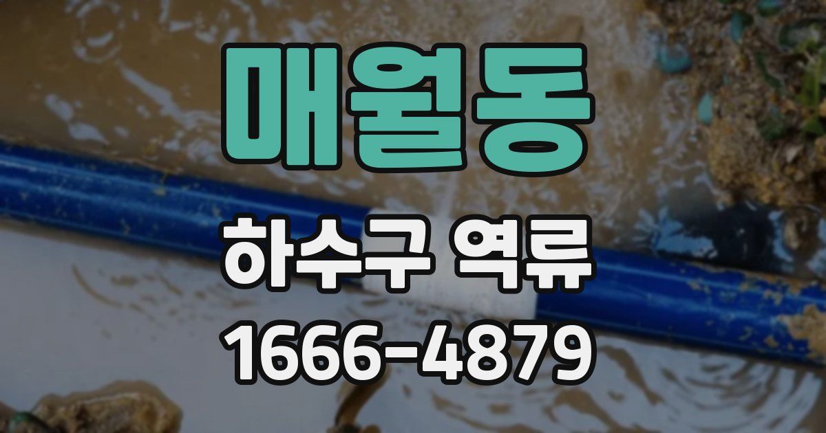 매월동 하수구 역류