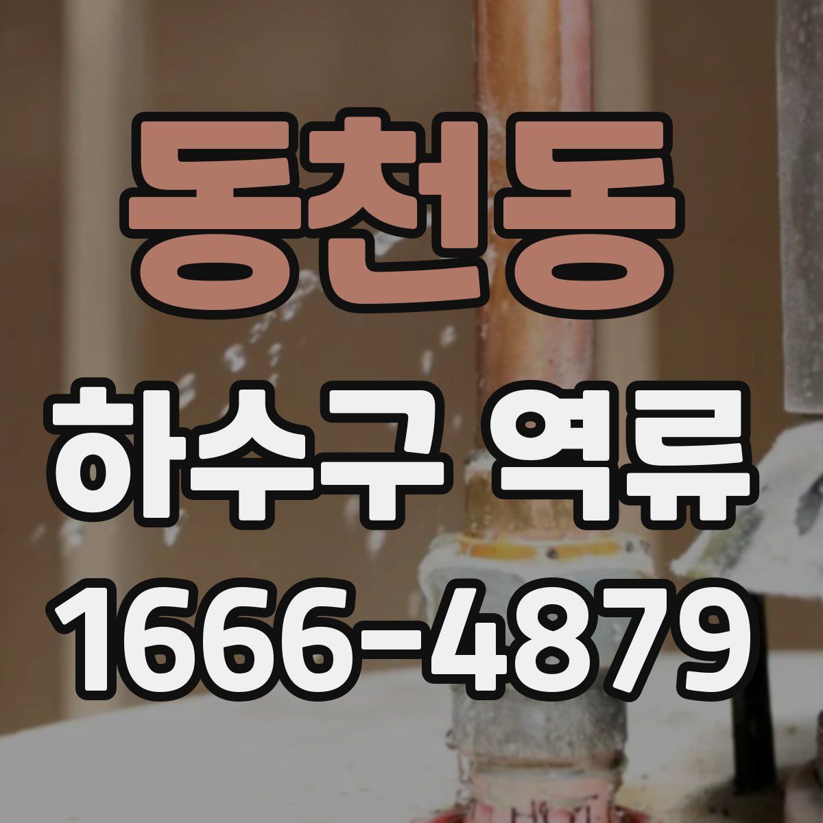 동천동 하수구 역류
