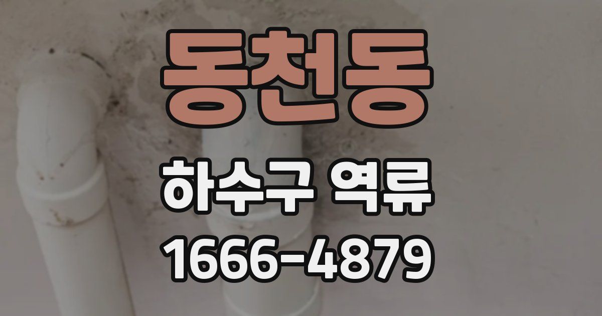 동천동 하수구 역류