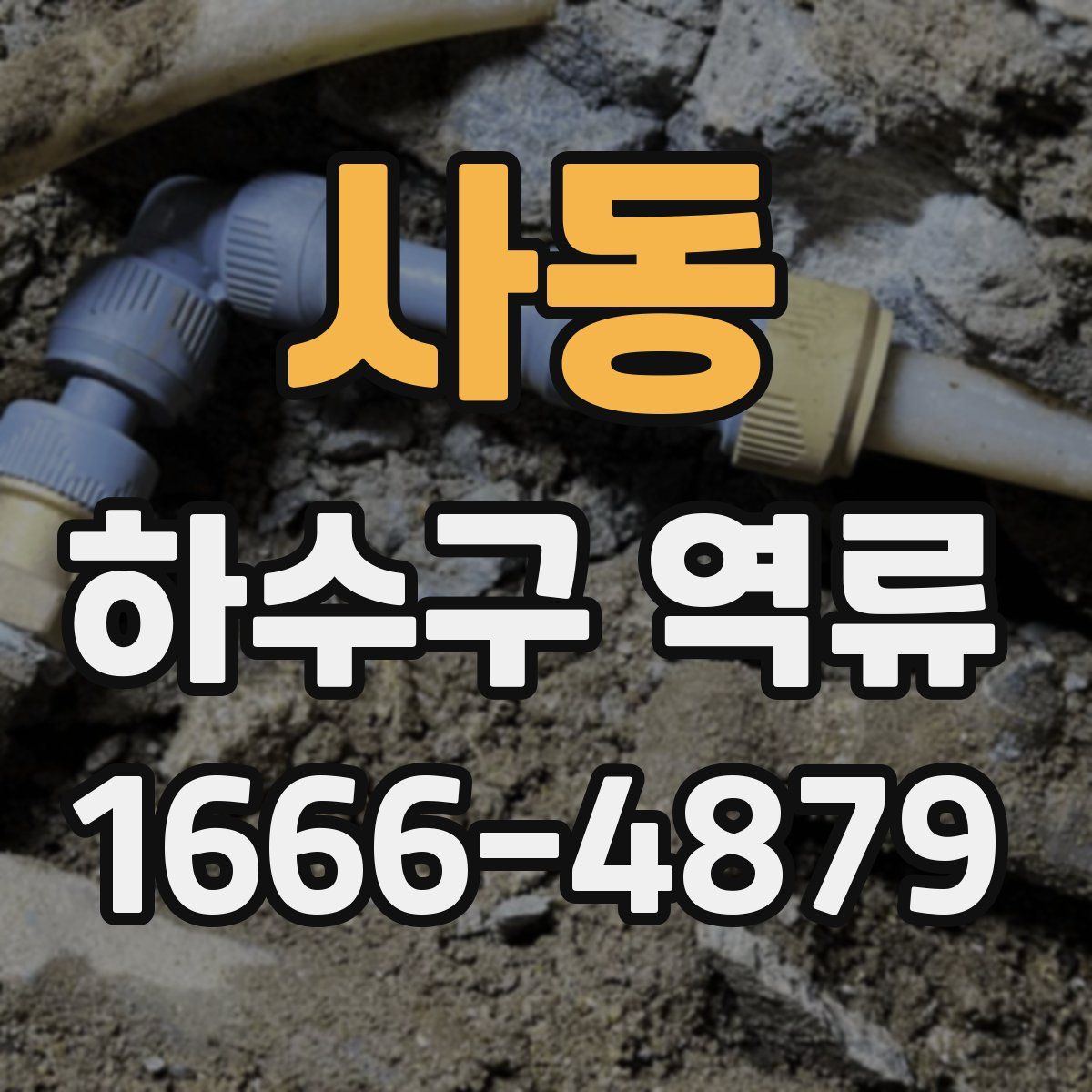 사동 하수구 역류