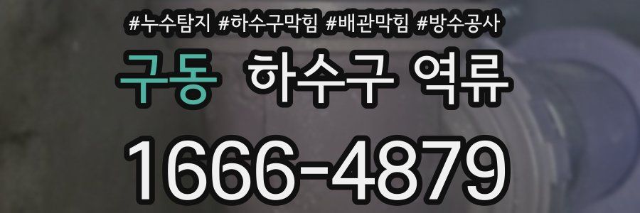 구동 하수구 역류
