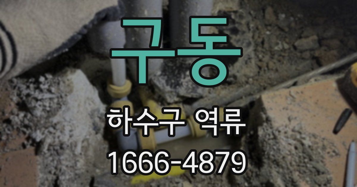 구동 하수구 역류