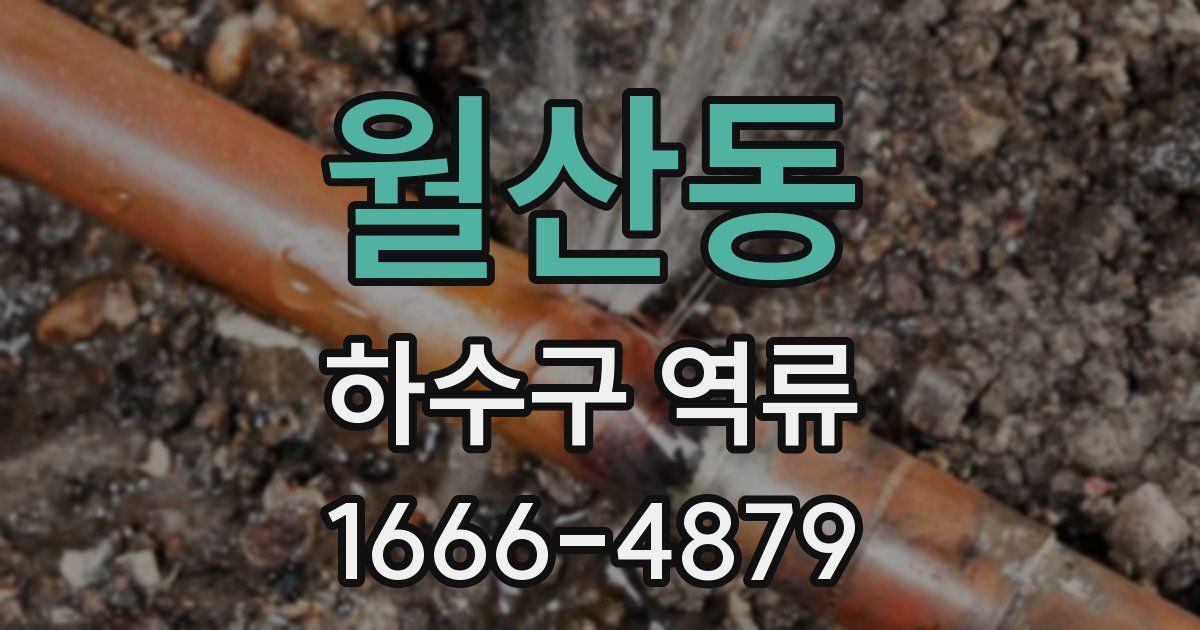 월산동 하수구 역류