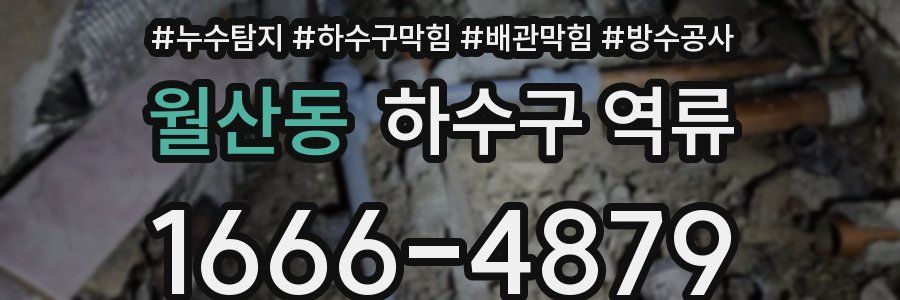 월산동 하수구 역류