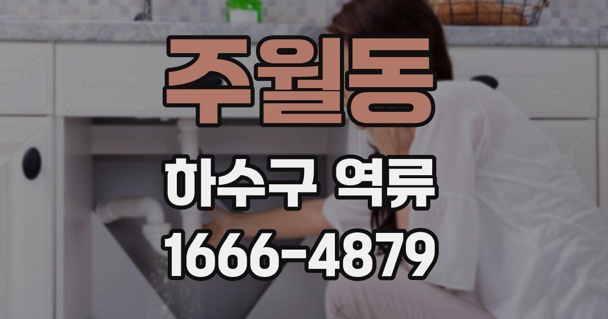 주월동 하수구 역류