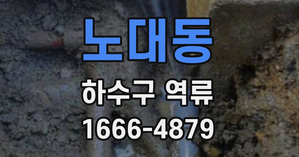 노대동 하수구 역류