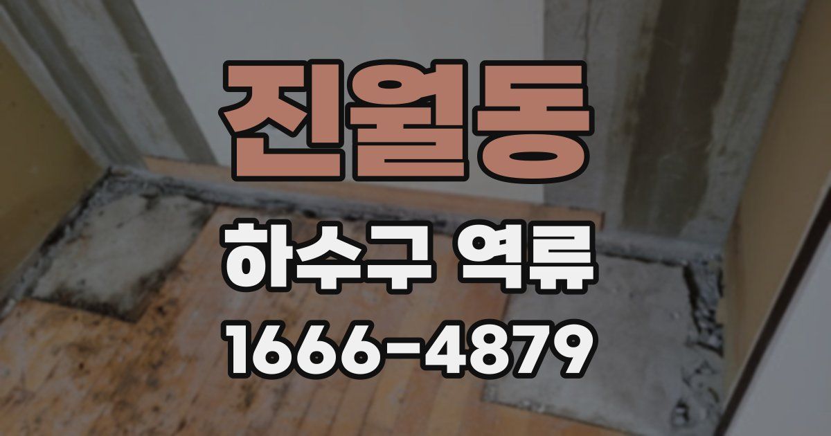 진월동 하수구 역류