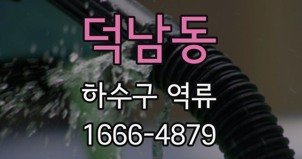 덕남동 하수구 역류