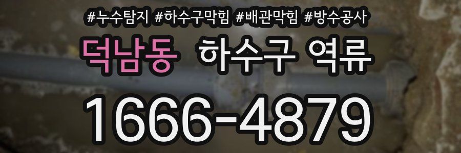 덕남동 하수구 역류