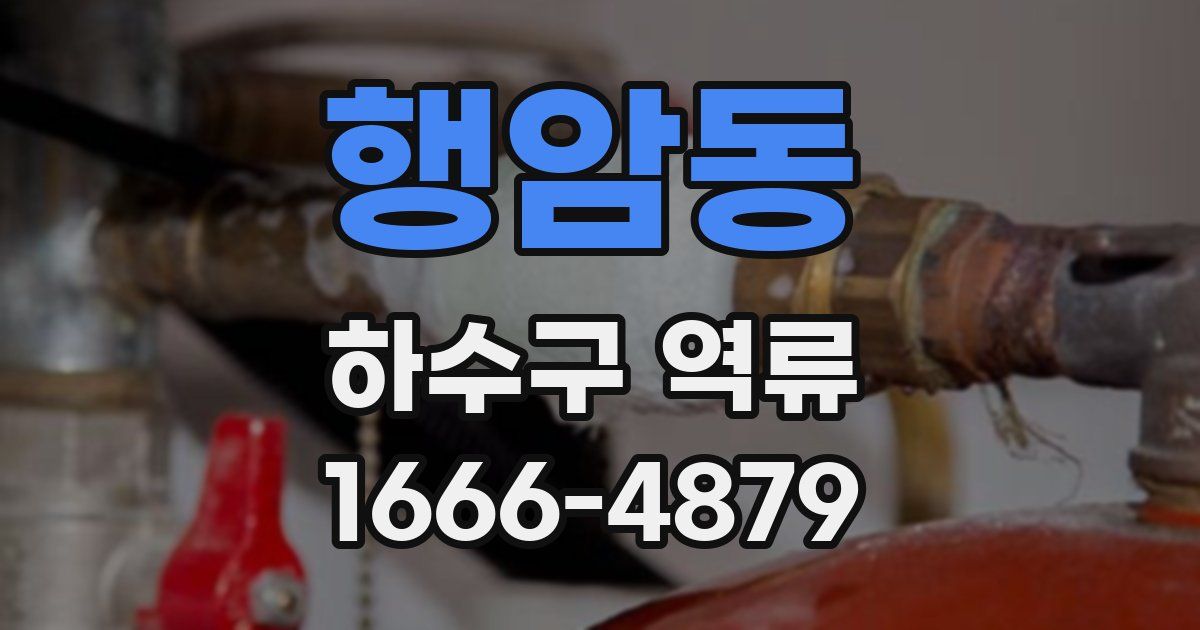 행암동 하수구 역류