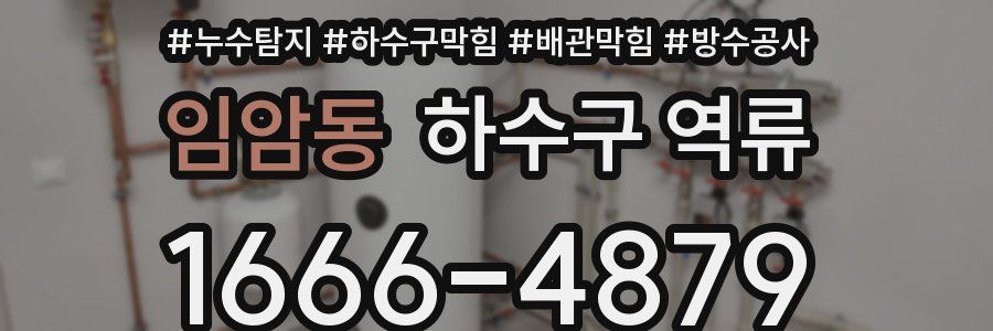 임암동 하수구 역류