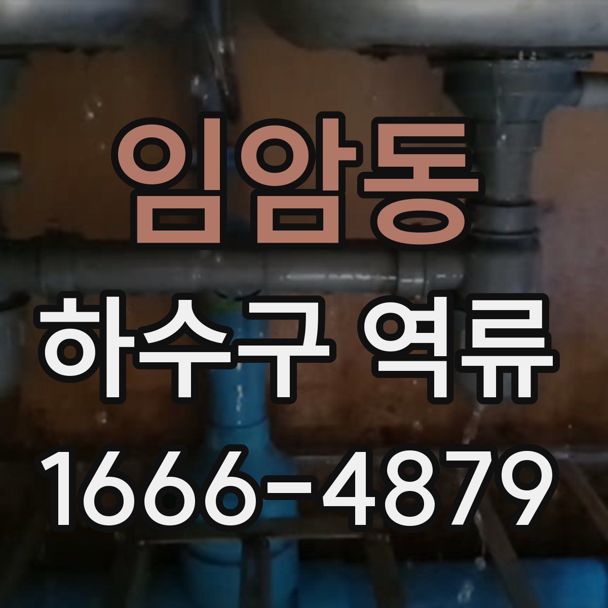 임암동 하수구 역류