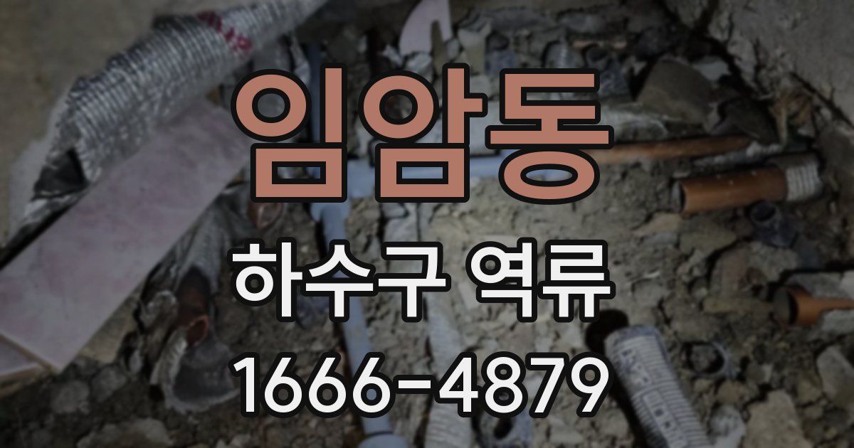 임암동 하수구 역류