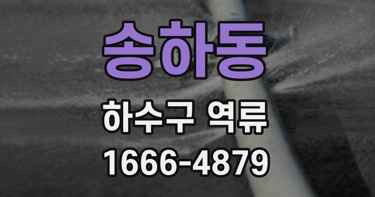 송하동 하수구 역류