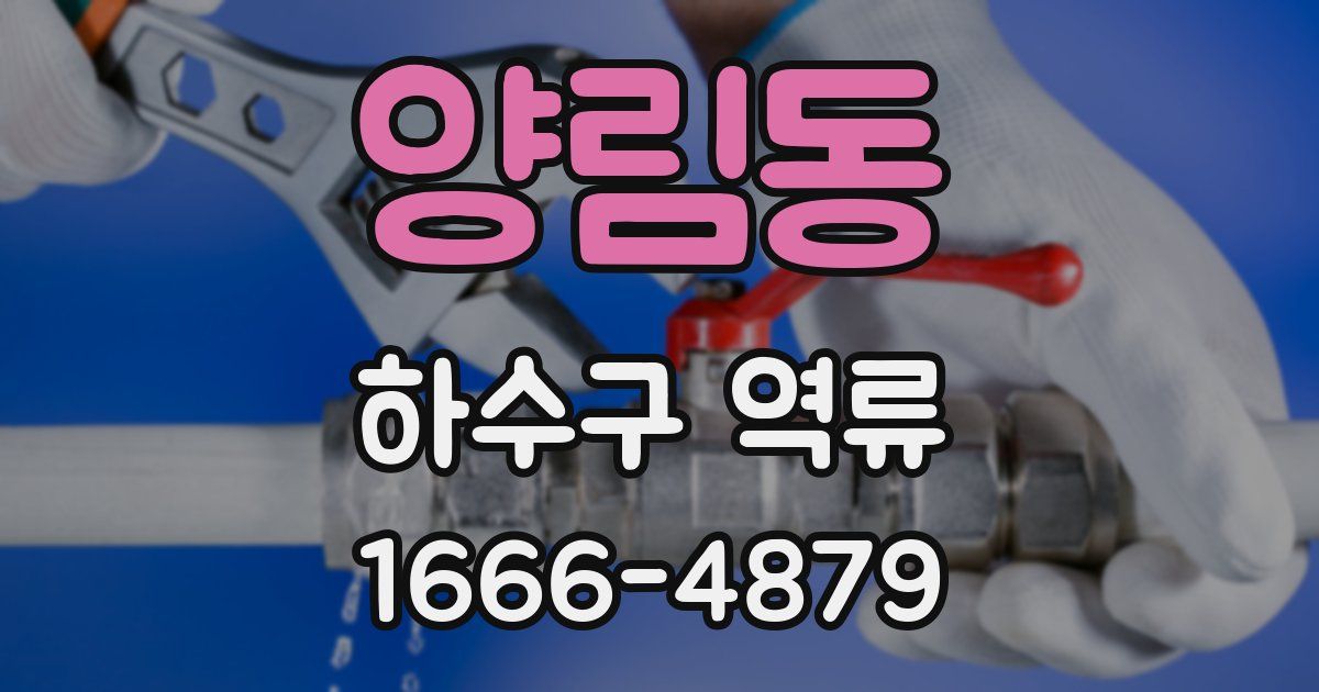 양림동 하수구 역류