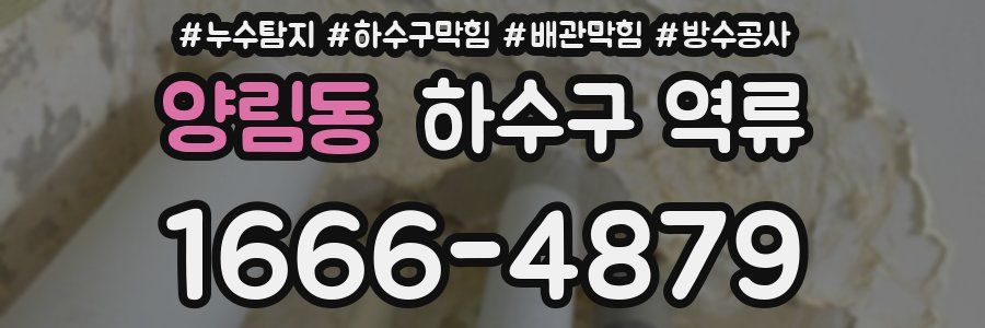 양림동 하수구 역류