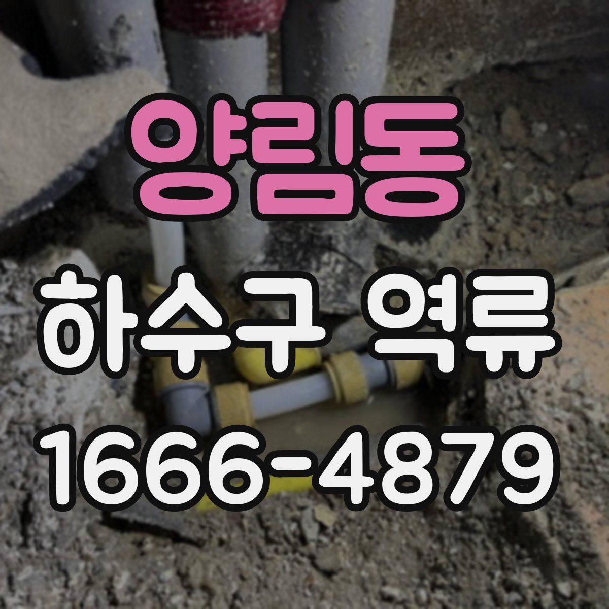 양림동 하수구 역류