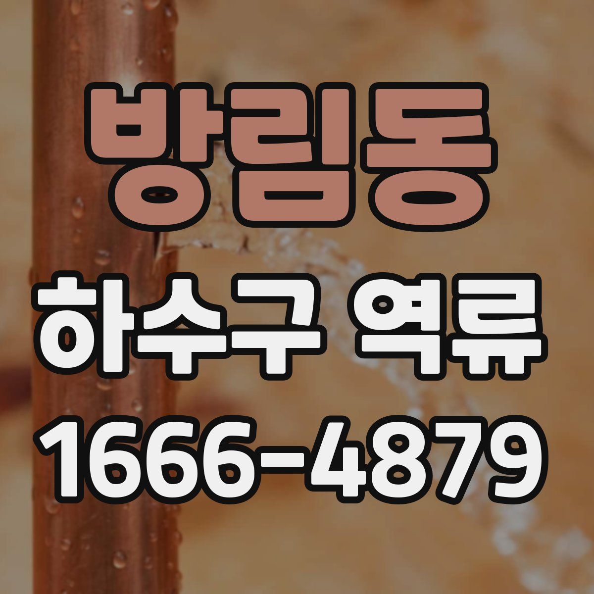 방림동 하수구 역류