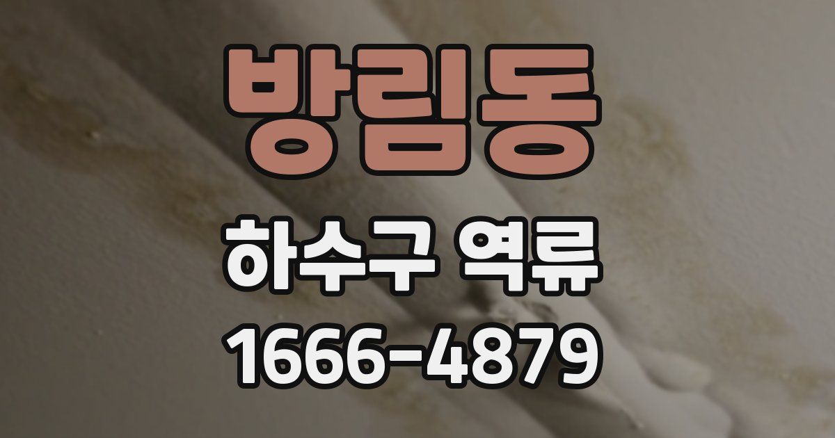 방림동 하수구 역류