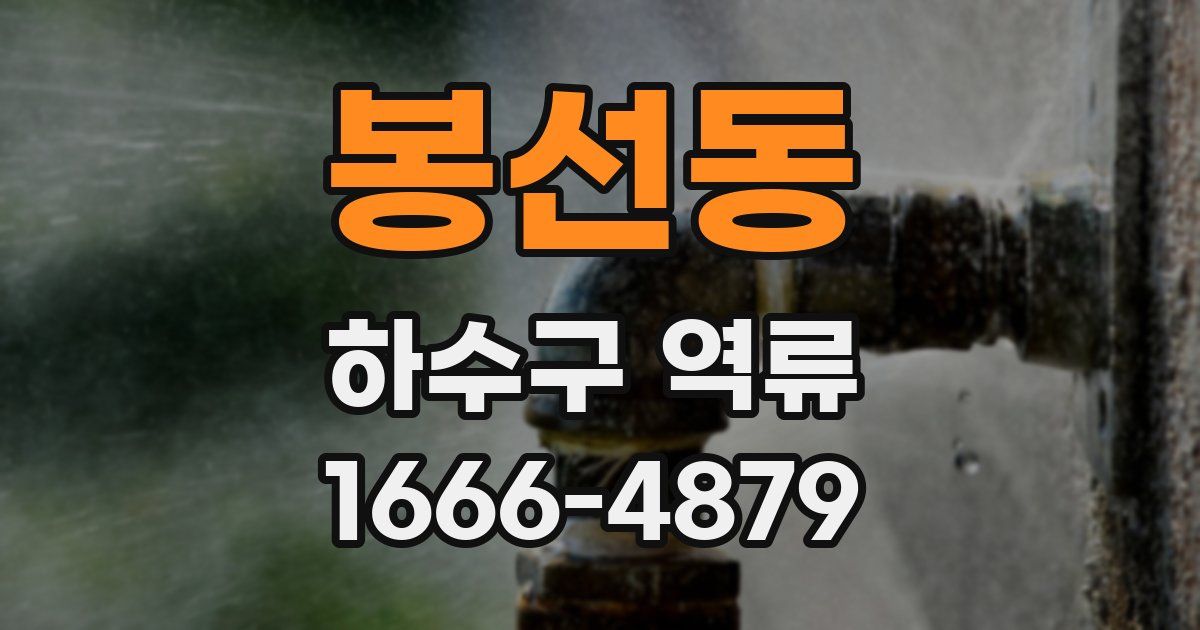 봉선동 하수구 역류