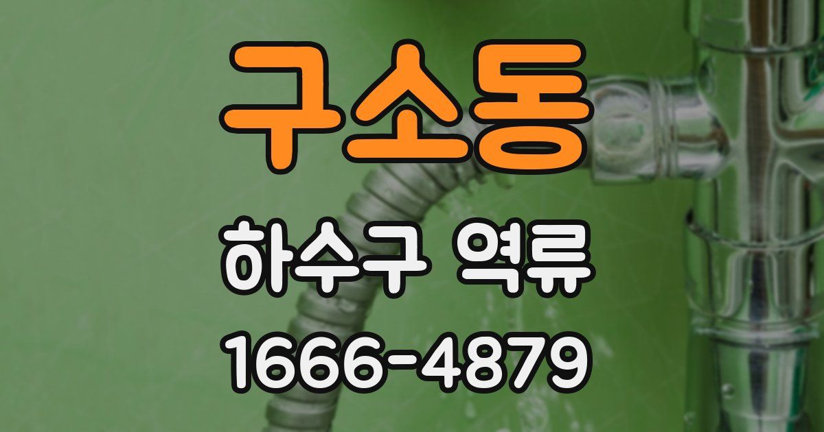 구소동 하수구 역류