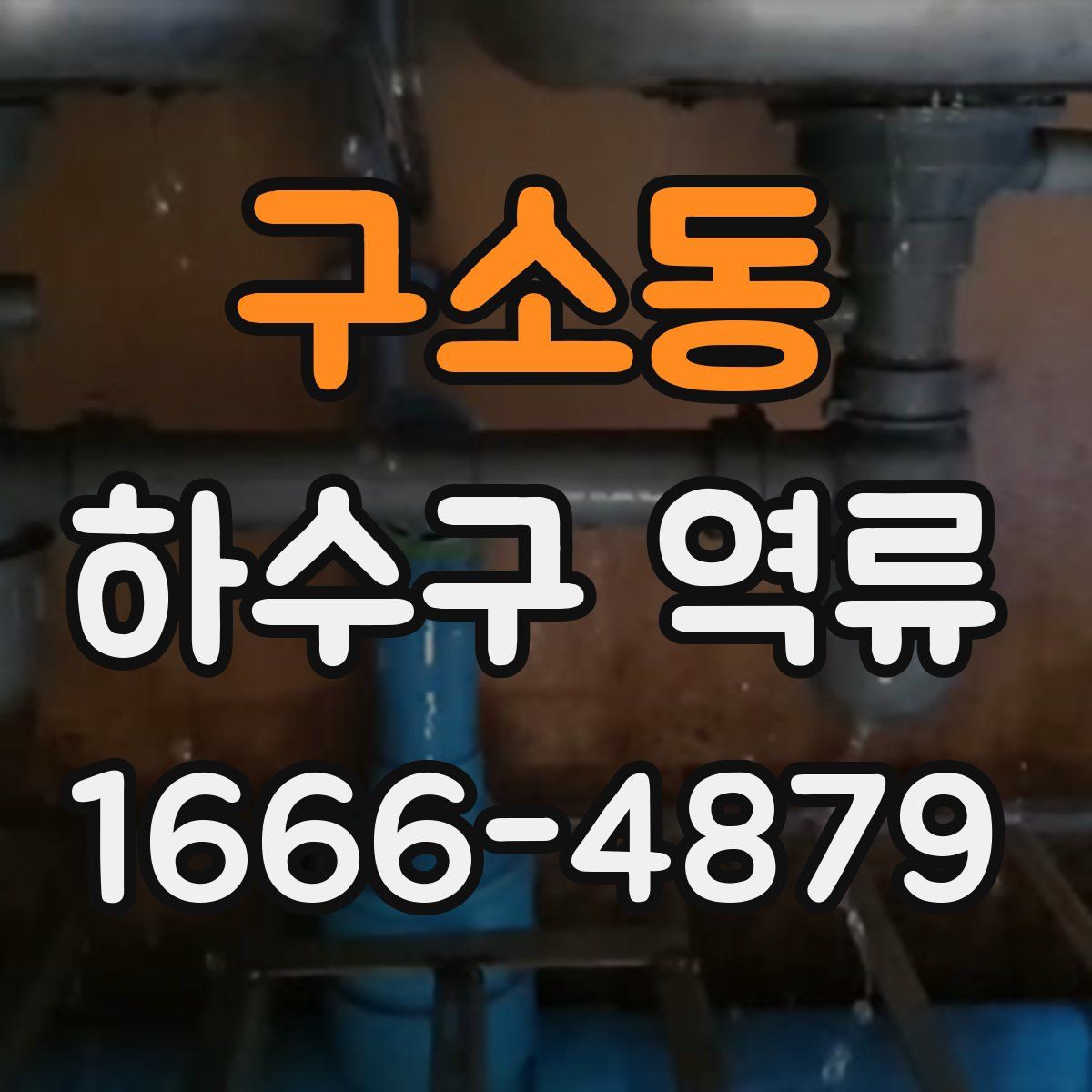 구소동 하수구 역류