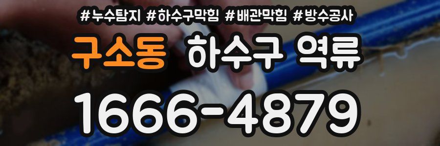 구소동 하수구 역류