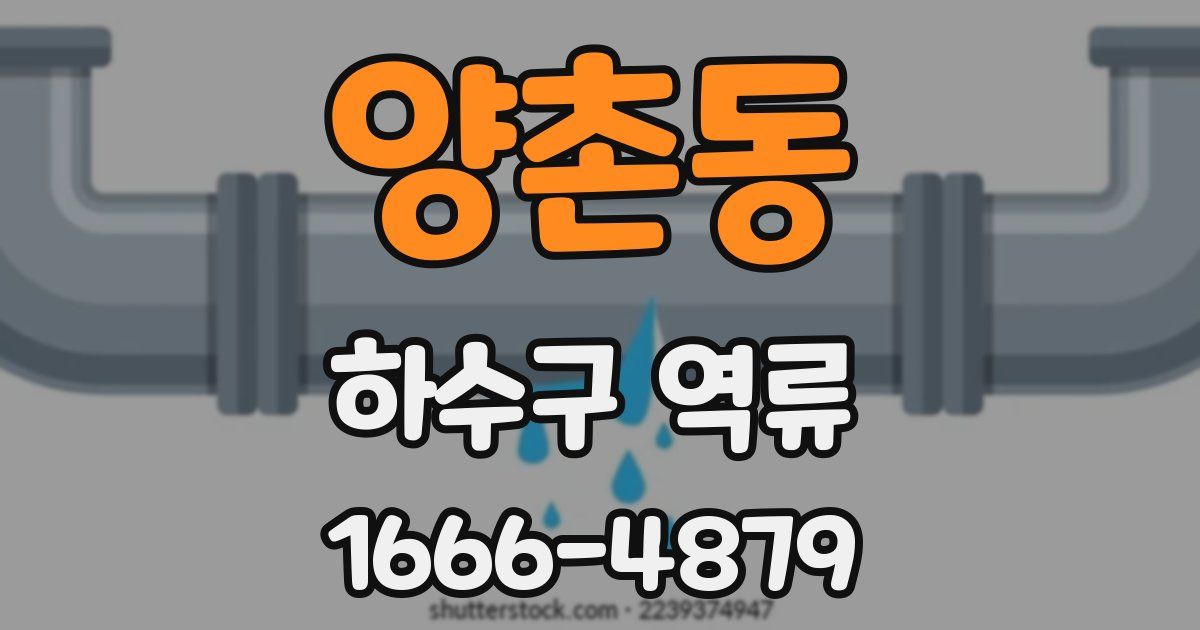 양촌동 하수구 역류