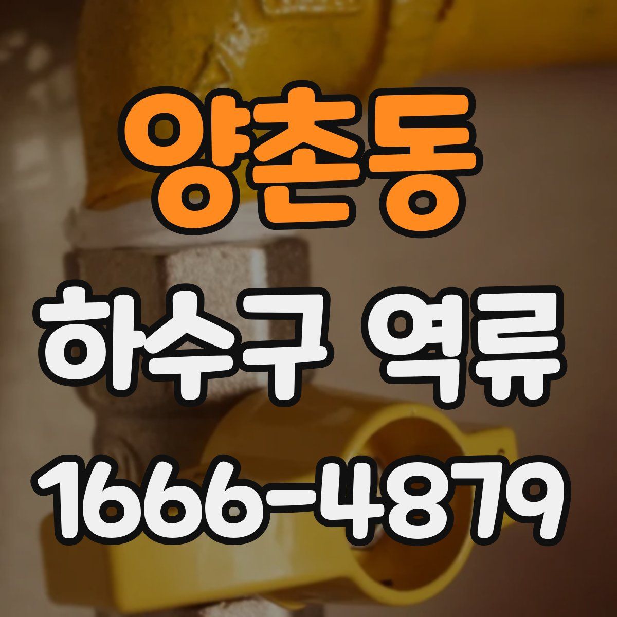 양촌동 하수구 역류