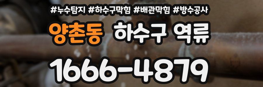 양촌동 하수구 역류