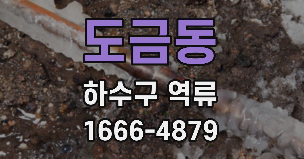 도금동 하수구 역류