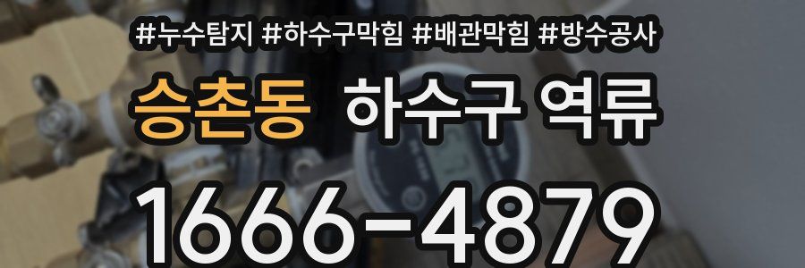 승촌동 하수구 역류