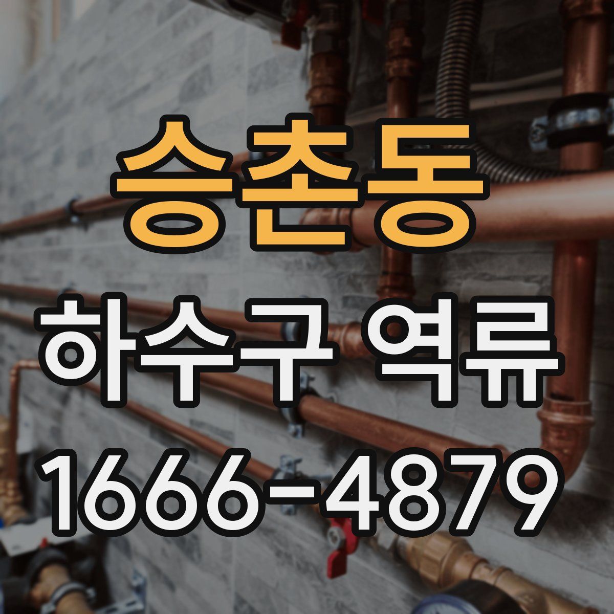 승촌동 하수구 역류