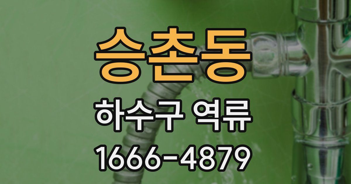 승촌동 하수구 역류