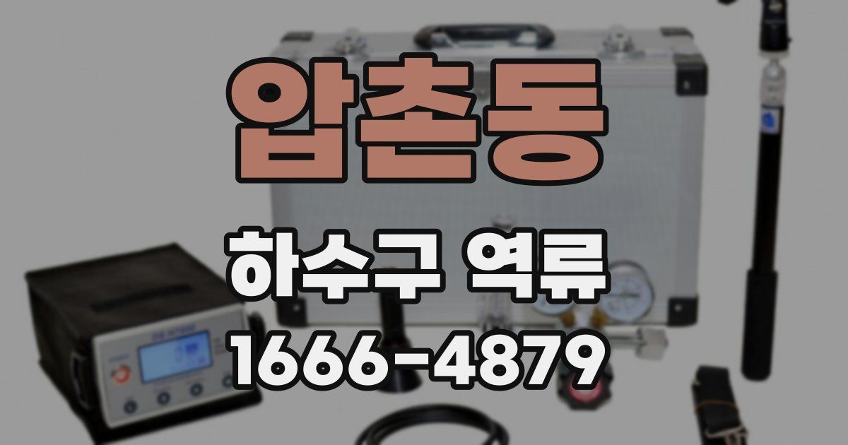 압촌동 하수구 역류