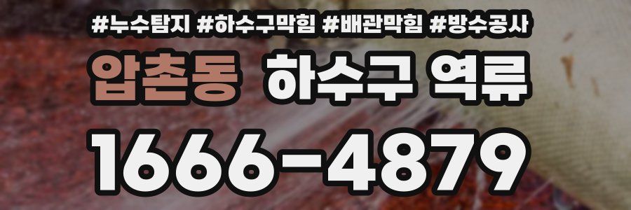 압촌동 하수구 역류