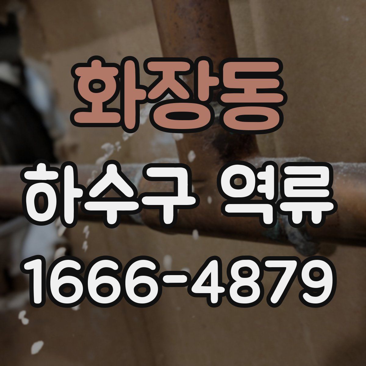 화장동 하수구 역류