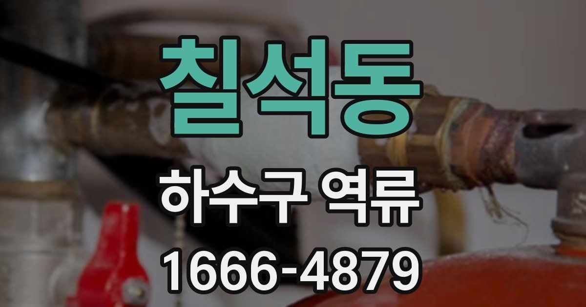 칠석동 하수구 역류