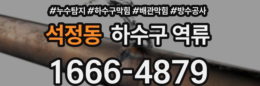 석정동 하수구 역류
