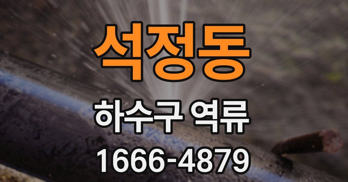 석정동 하수구 역류