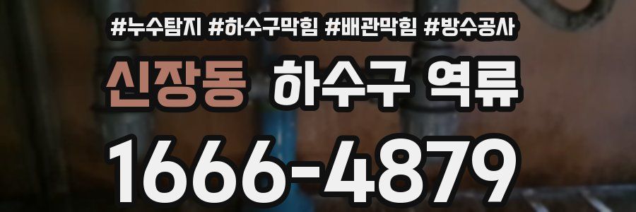 신장동 하수구 역류