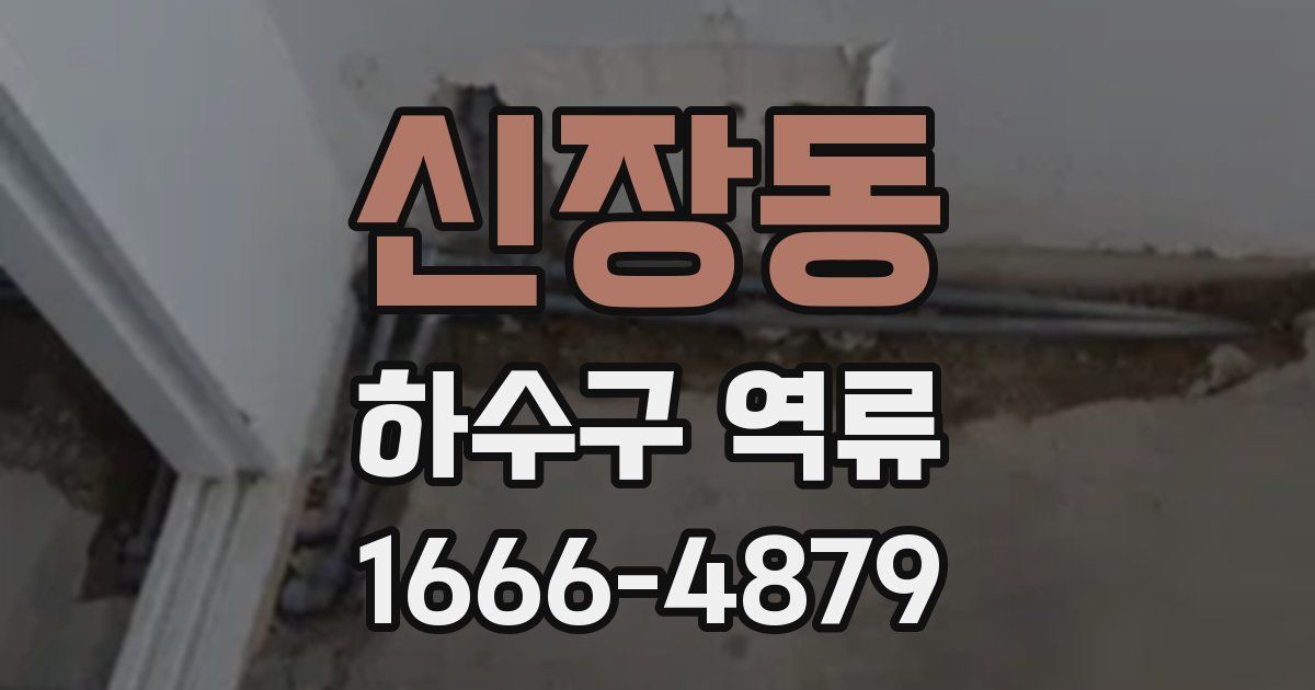 신장동 하수구 역류