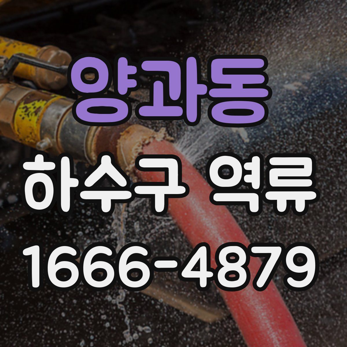 양과동 하수구 역류
